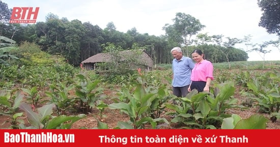 Nhiều sản phẩm OCOP khó phát triển thị trường