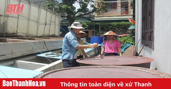 Kỳ vọng những HTX “tân binh”