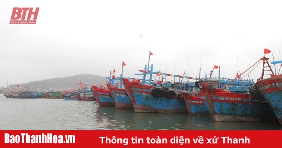 Đề nghị đưa 80 tàu cá ra khỏi danh sách có nguy cơ cao vi phạm IUU