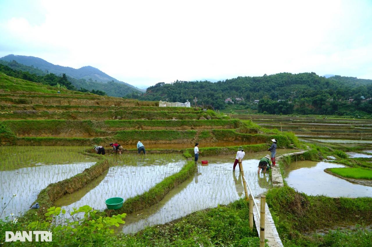 Ngắm ruộng bậc thang đẹp bình yên mùa nước đổ ở Thanh Hóa - 4