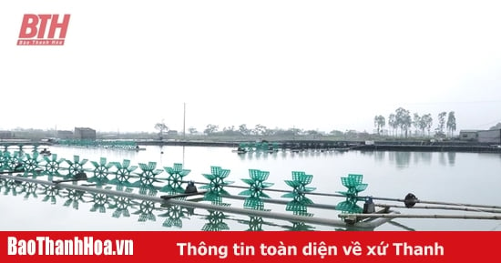 Ensuring safety of aquaculture areas during the rainy and stormy season