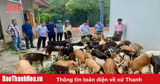 Nông dân Thanh Hóa đoàn kết giúp nhau làm giàu và giảm nghèo bền vững