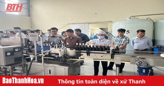 Ứng dụng công nghệ vào sản xuất nước mắm truyền thống