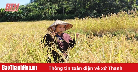 Động lực thúc đẩy kinh tế