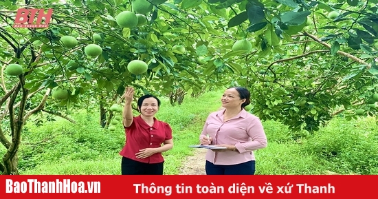 Góp phần nâng cao hiệu quả nguồn vốn tín dụng chính sách