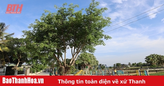 Văn hóa và con người xứ Thanh: Nguồn lực nội sinh cho phát triển bền vững (Bài 2)