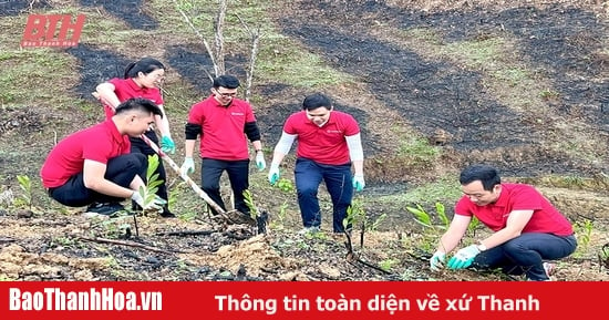 Agribank의 문화적 정체성과 브랜드 구축에 기여