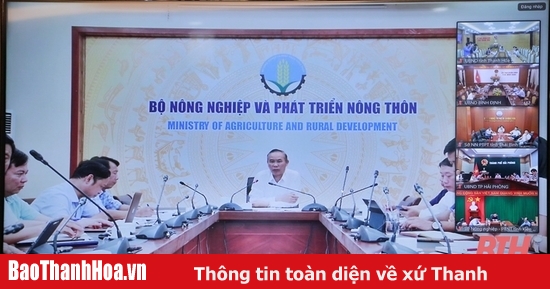 Tập trung chuẩn bị thực hiện Dự án “Phát triển thủy sản bền vững”