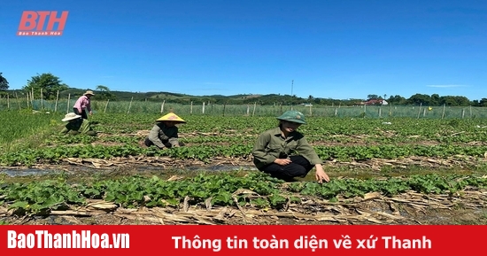 Thúc đẩy sản xuất nông nghiệp an toàn