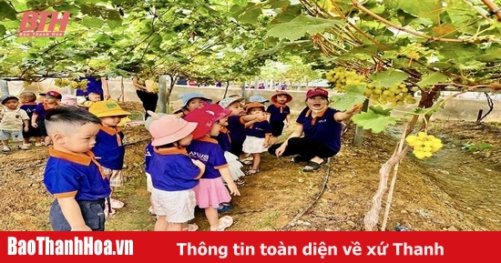 Những mô hình hiệu quả trong HTX kiểu mới