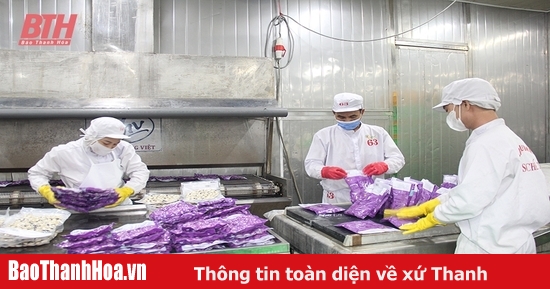 Ghi nhận tích cực từ thích ứng và hội nhập kinh tế quốc tế