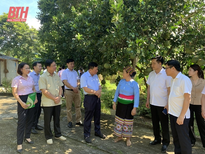 Policenkredit trägt zur Gewährleistung der sozialen Sicherheit in Thuong Xuan, Ngoc Lac bei