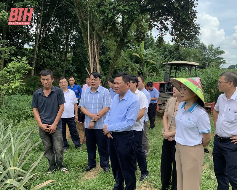 Policenkredit trägt zur Gewährleistung der sozialen Sicherheit in Thuong Xuan, Ngoc Lac bei