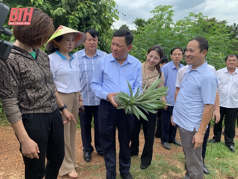 Policenkredit trägt zur Gewährleistung der sozialen Sicherheit in Thuong Xuan, Ngoc Lac bei