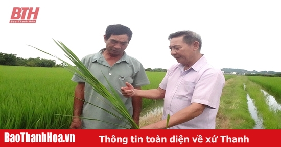 Hồi sinh “đất chết”