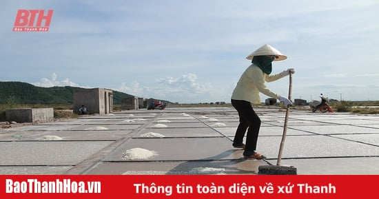 Lối đi nào cho hạt muối quê biển?