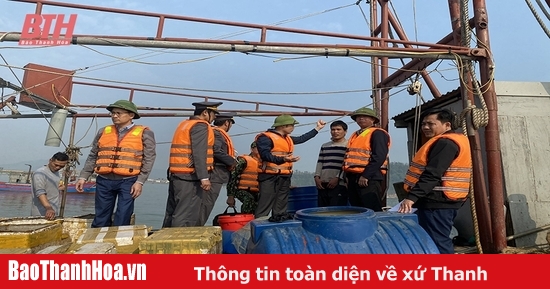 Tăng cường kiểm tra, kiểm soát tàu cá có nguy cơ vi phạm IUU