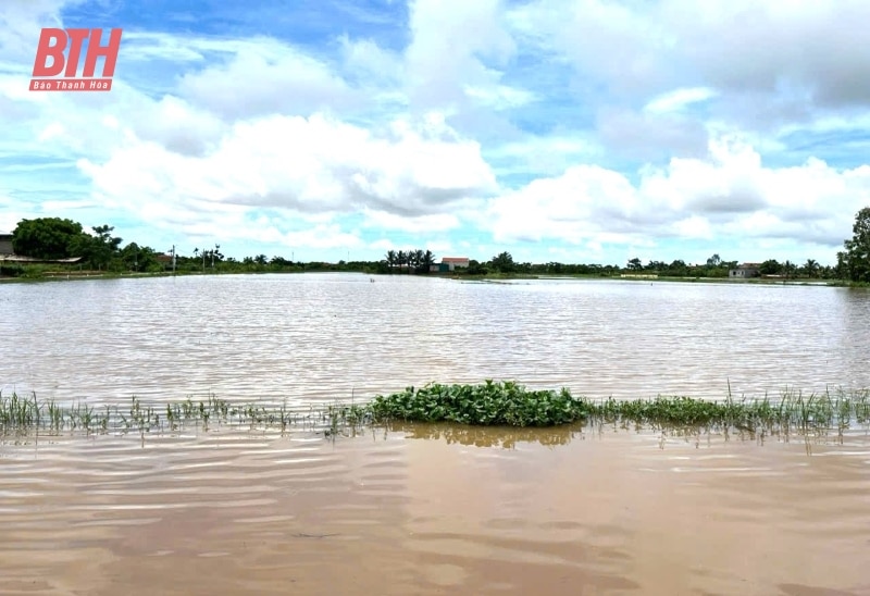 Chủ động ứng phó với mưa lớn, nguy cơ lũ quét, sạt lở đất, ngập lụt