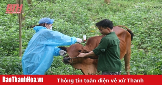 Tập trung thực hiện các biện pháp phòng, chống dịch bệnh trên đàn vật nuôi