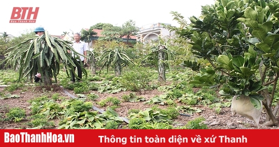 Từ V-A-C đến vườn hộ, vườn mẫu