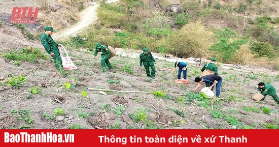 Cho những cánh rừng thêm xanh