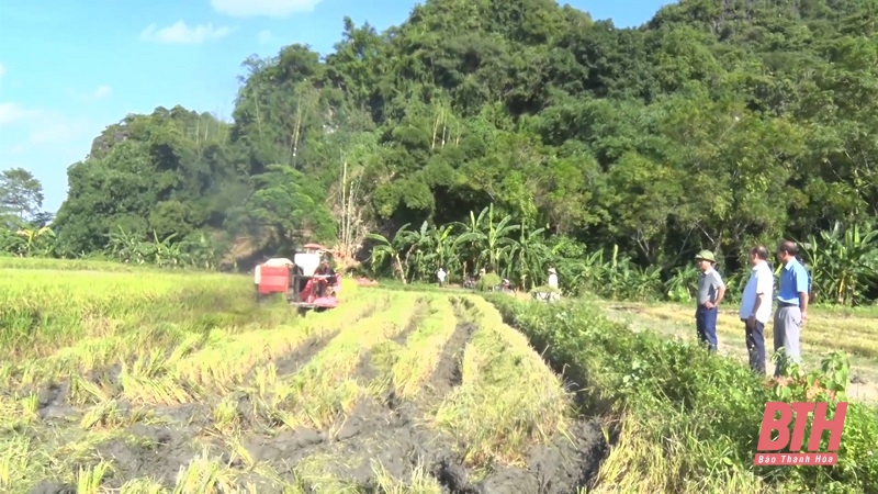 [Cập nhật] - Thanh Hóa triển khai lực lượng, phương tiện thường trực phòng, chống thiên tai, tìm kiếm cứu nạn