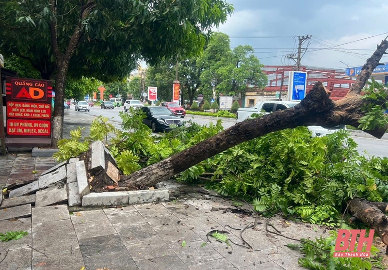 [Cập nhật] - Thanh Hóa triển khai lực lượng, phương tiện thường trực phòng, chống thiên tai, tìm kiếm cứu nạn