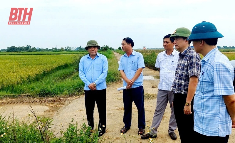 Thanh Hóa triển khai lực lượng, phương tiện thường trực phòng, chống thiên tai, tìm kiếm cứu nạn