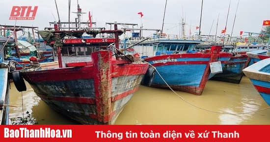 Khẩn trương tập trung ứng phó khẩn cấp với bão số 3 và mưa lũ sau bão