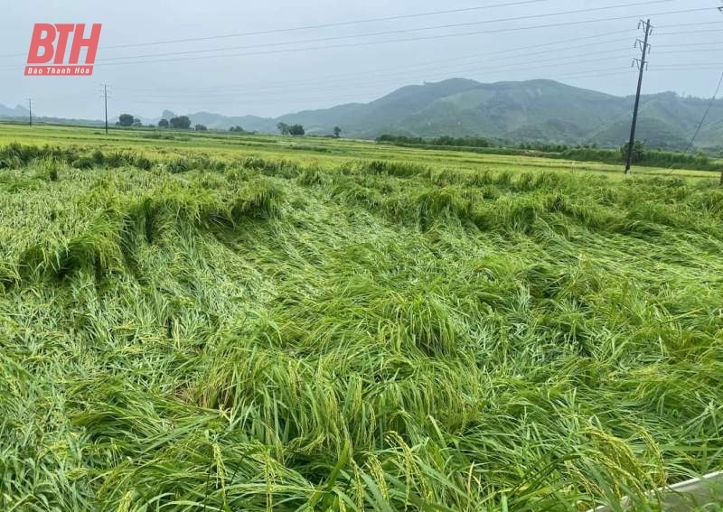 [Cập nhật] - Mưa lũ tại Thanh Hóa: Bá Thước có 15 điểm giao thông bị chia cắt cục bộ