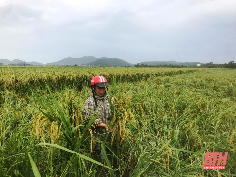 [Cập nhật] - Mưa lũ tại Thanh Hóa: Bá Thước có 15 điểm giao thông bị chia cắt cục bộ