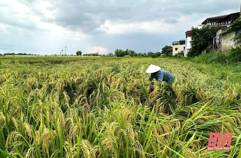 [Cập nhật] - Mưa lũ tại Thanh Hóa: Bá Thước có 15 điểm giao thông bị chia cắt cục bộ