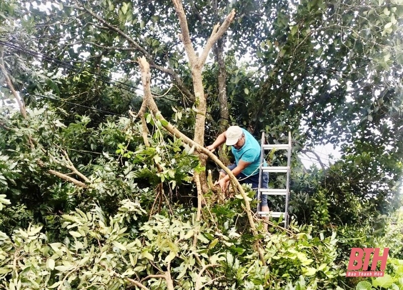 [Cập nhật] - Mưa lũ tại Thanh Hóa: Thêm 1 tàu cá của ngư dân Thanh Hóa bị chìm khi tránh trú bão số 3