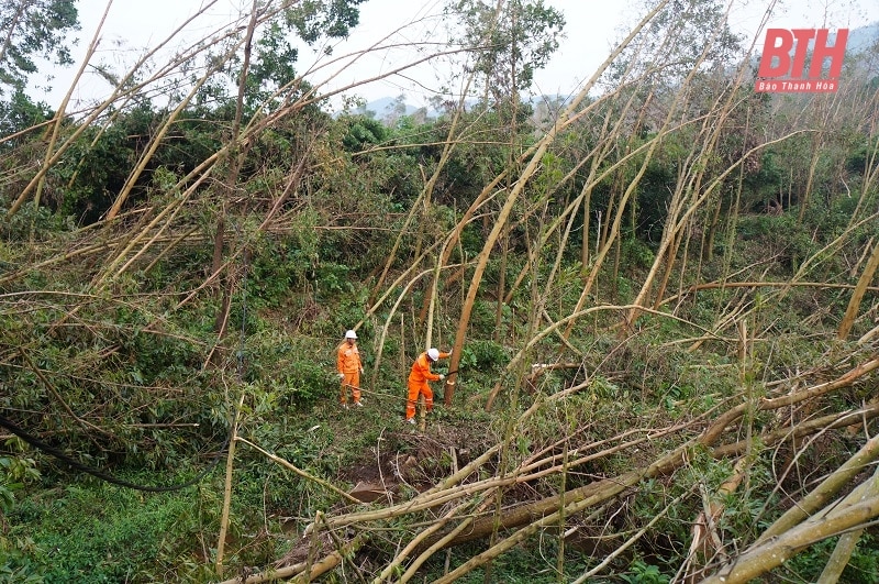 Chung sức, đồng lòng khắc phục sự cố để cấp điện trở lại cho Nhân dân các tỉnh phía Bắc