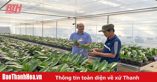 Nhân rộng mô hình HTX nông nghiệp ứng dụng công nghệ cao