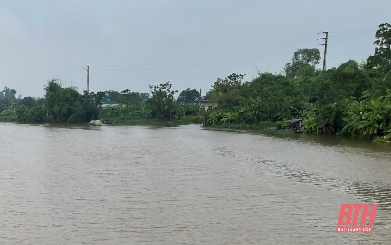 Nước lũ sông Mã, sông Lèn dâng cao mức báo động II