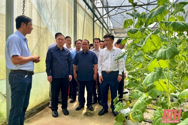 Delegation des Zentralkomitees der Laotischen Front für Nationalen Aufbau tauschte Erfahrungen im Agrarsektor in Thanh Hoa aus