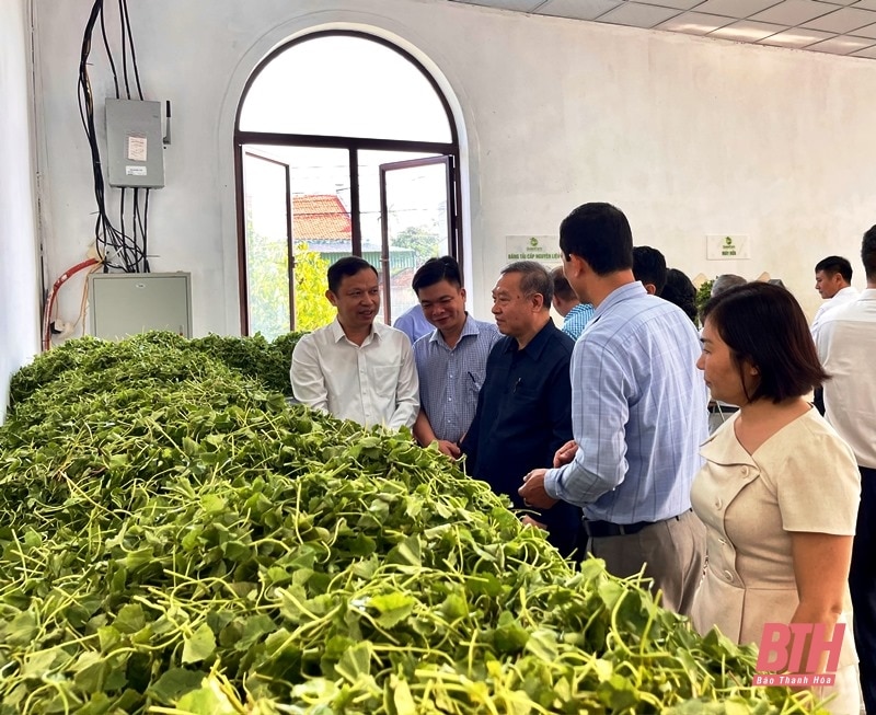 Delegation des Zentralkomitees der Laotischen Front für Nationalen Aufbau tauschte Erfahrungen im Agrarsektor in Thanh Hoa aus