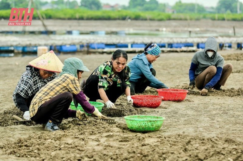 Nữ nông dân nuôi vàng trắng được vinh danh Nông dân Việt Nam xuất sắc năm 2024 