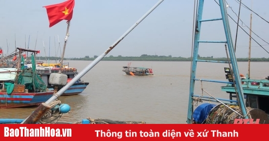 El tifón Yagi se dirige hacia el Golfo de Tonkín, todavía hay más de 880 barcos pesqueros de pescadores de Thanh Hoa operando en el mar.