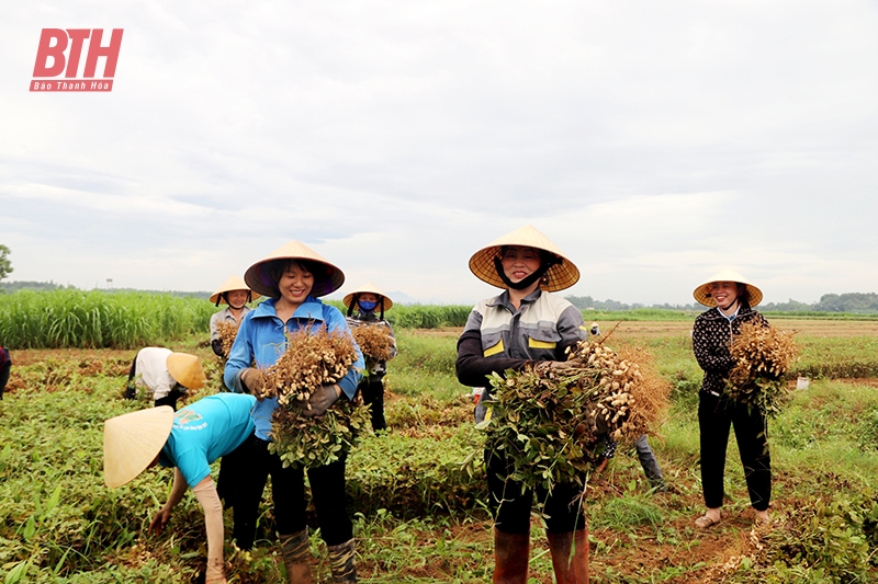 Đồng hành cùng hội viên phát triển kinh tế