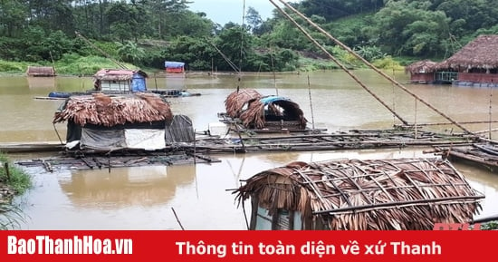 Hơn 394ha nuôi thuỷ sản truyền thống và 525m 3 lồng bè bị thiệt hại do mưa lũ