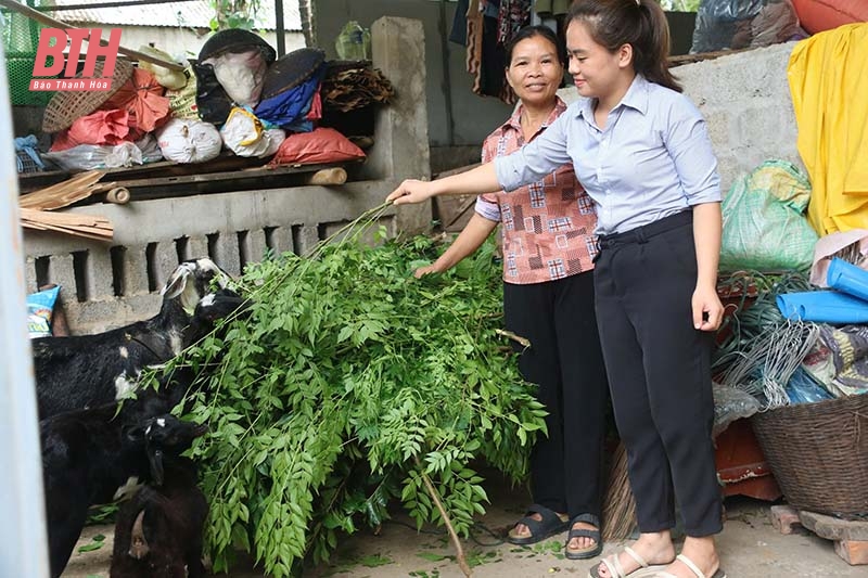 Nguồn vốn vay TCVM “nâng đỡ” kinh tế hộ thu nhập thấp