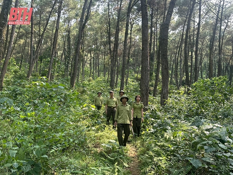 Quản lý, bảo vệ và phát triển rừng tại Ban Quản lý rừng phòng hộ Thạch Thành