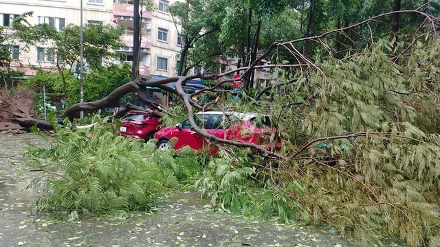 Quảng Ninh, Hải Phòng tan hoang vì bão số 3- Ảnh 7.