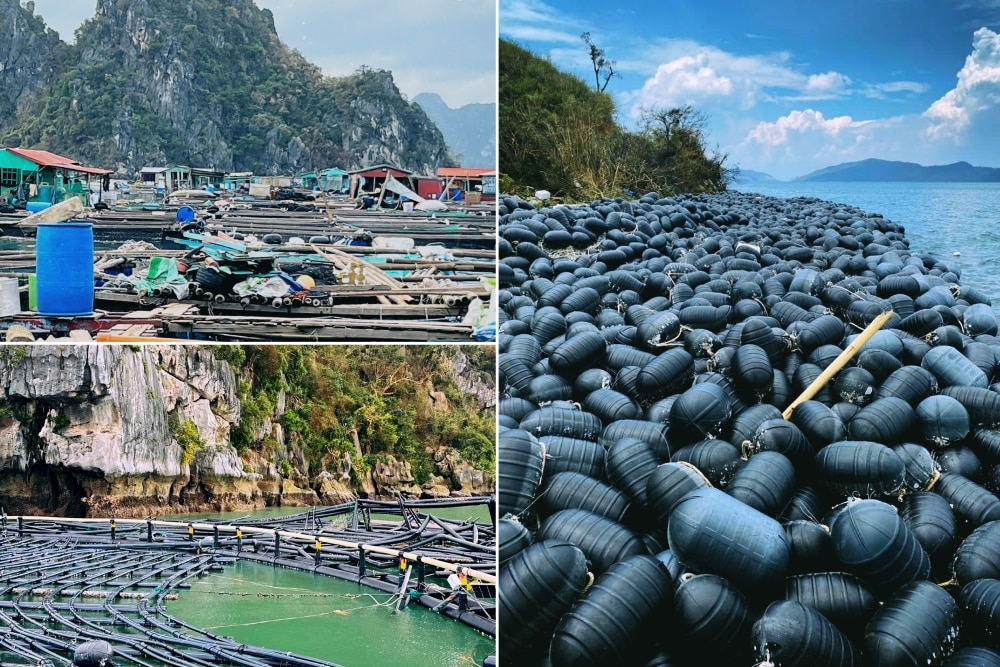 Thủ tướng yêu cầu tập trung triển khai các biện pháp nhanh chóng phục hồi sản xuất nông nghiệp sau bão số 3 và mưa lũ