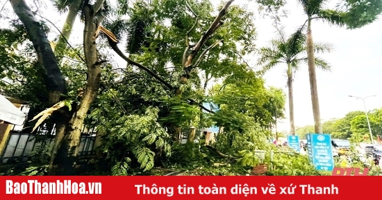 Triển khai ứng phó khẩn cấp bão số 3 đối với lĩnh vực giao thông, xây dựng