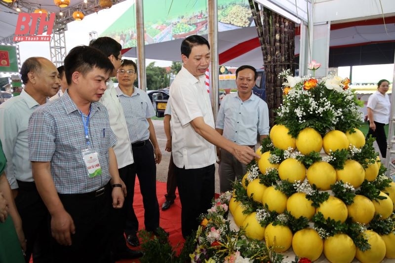 Kiểm tra gian hàng phục vụ Hội nghị kết nối cung - cầu và trưng bày giới thiệu sản phẩm nông sản, thực phẩm an toàn tỉnh Thanh Hóa năm 2024