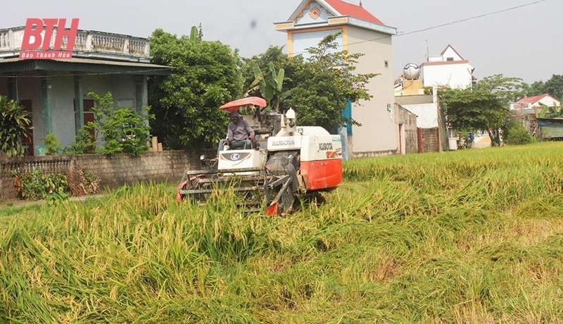 Hỗ trợ các HTX nâng cao năng lực cạnh tranh