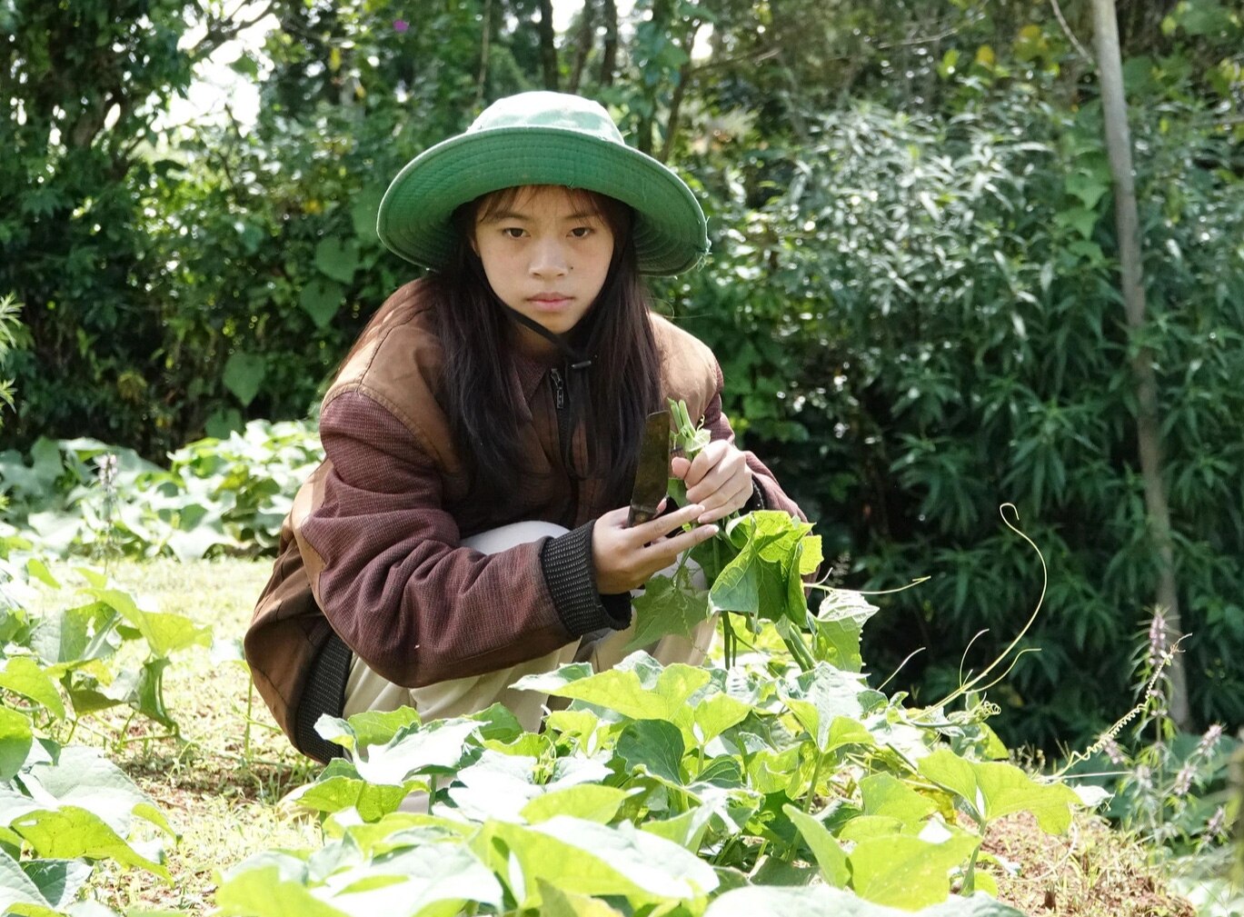 Cô gái mót rau con người bán ve chai ở Đà Lạt vào đại học - Ảnh 1.